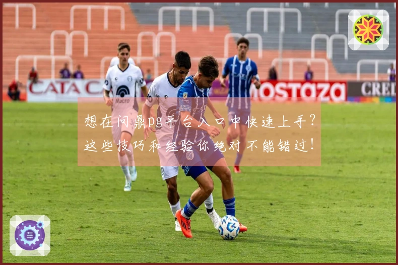 想在问鼎pg平台入口中快速上手？这些技巧和经验你绝对不能错过！