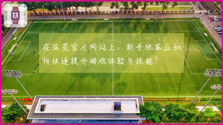 在亚星官方网站上，新手玩家应如何快速提升游戏体验与技能？